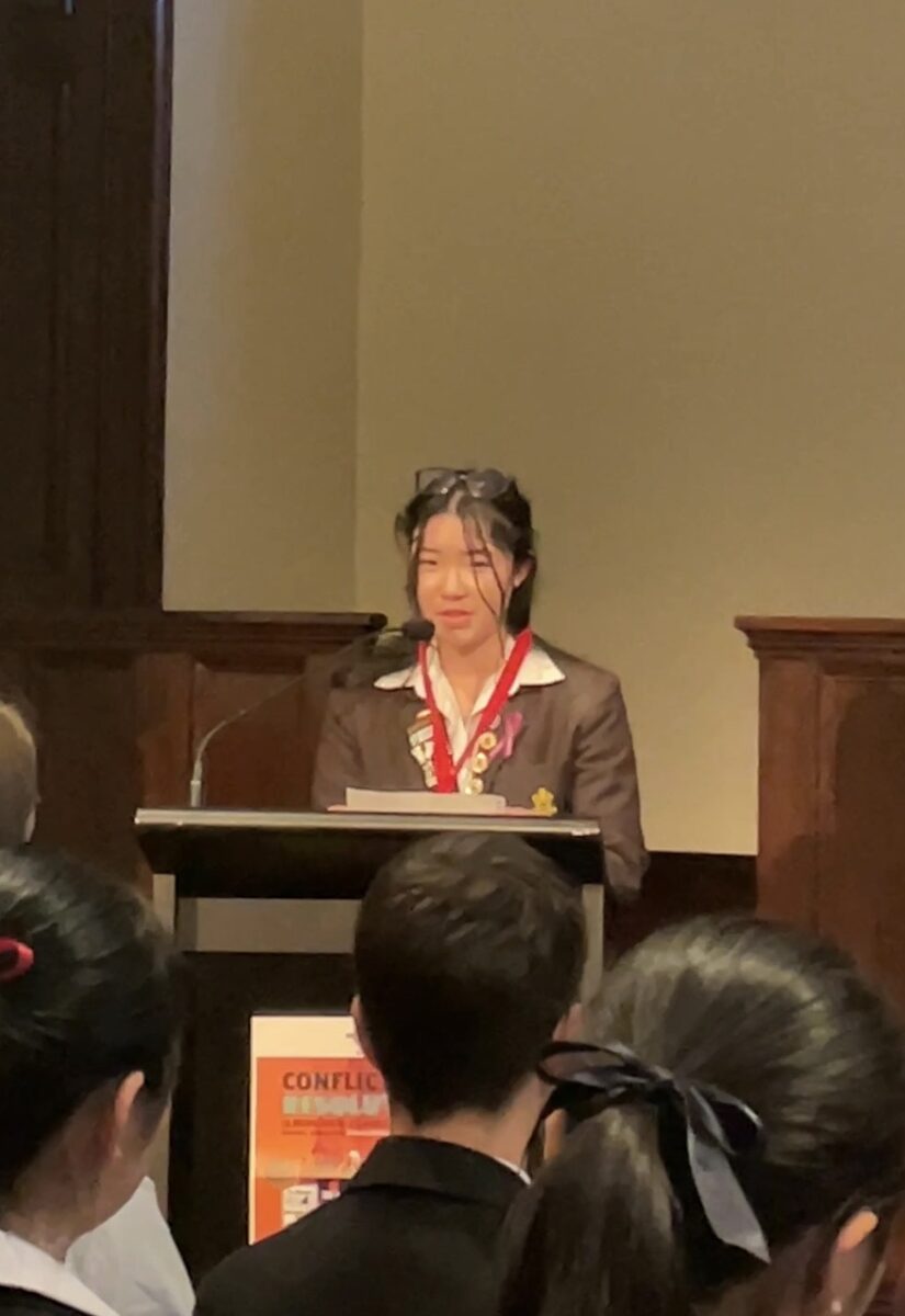 Speaking at a conflict resolution conference